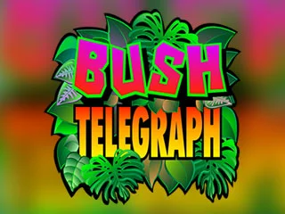 Bush Telegraph